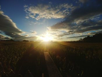 Scenic view of field against sky during sunset