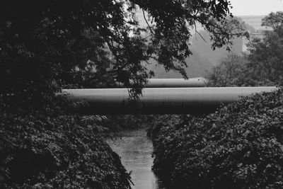 View of narrow stream along trees on field