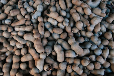 Tamarind pod-like fruits filling the frame