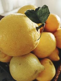 Close-up of lemon