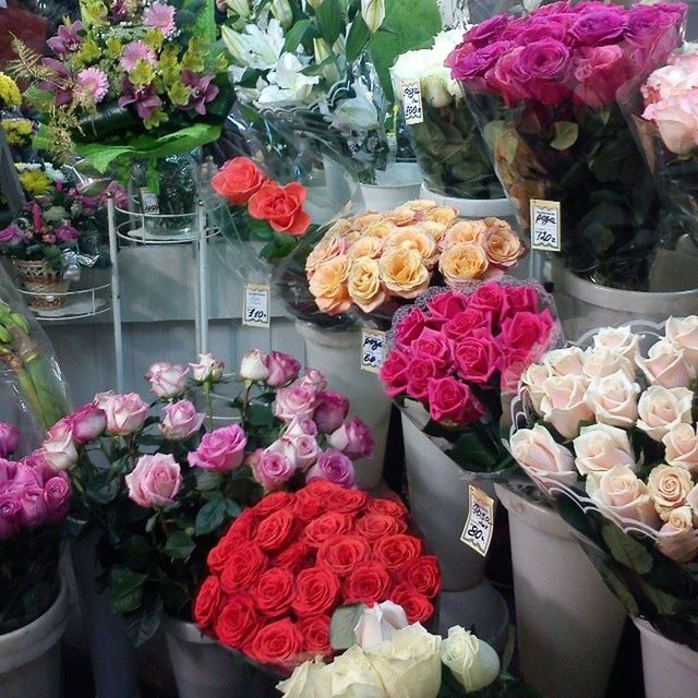 flower, freshness, for sale, variation, choice, retail, abundance, bouquet, arrangement, fragility, market, market stall, indoors, large group of objects, multi colored, store, petal, display, bunch of flowers, retail display