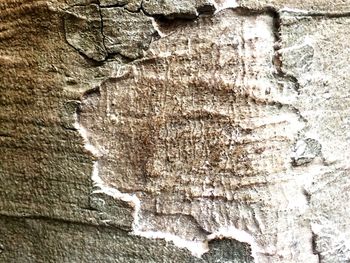 Close-up of cracked wall