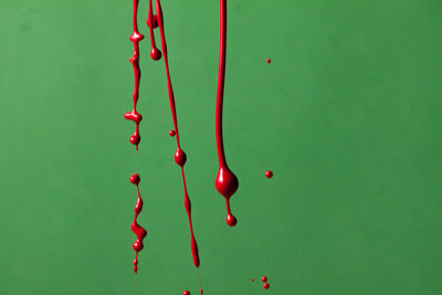 Close-up of red berries hanging over green background