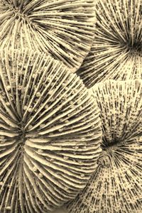 Full frame shot of textured surface