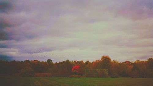 Scenic view of field against cloudy sky