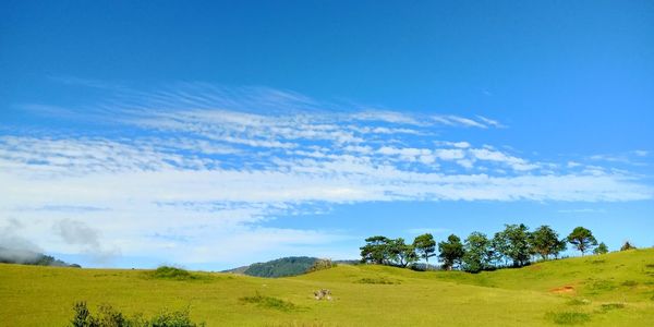 Scenic view of landscape against blue sky