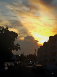 Silhouette of trees at sunset