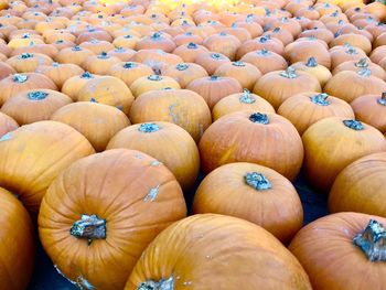 Full frame shot of pumpkins at market