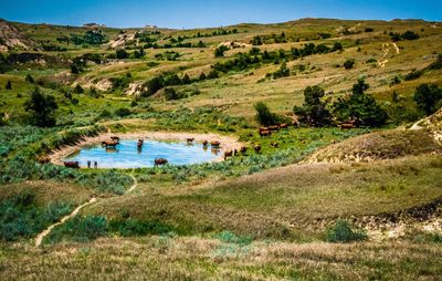 Scenic view of landscape with mountain in background