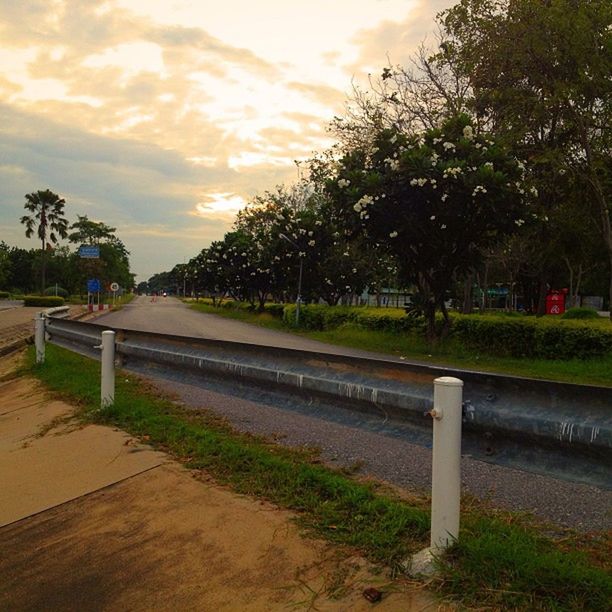 tree, sky, growth, grass, nature, cloud - sky, tranquility, green color, tranquil scene, the way forward, footpath, transportation, beauty in nature, field, landscape, plant, outdoors, scenics, road, no people