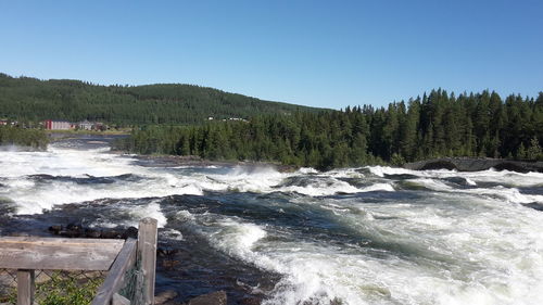 Scenic view of river flowing amidst trees against sky