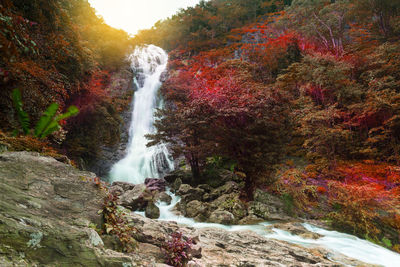 View of waterfall in forest