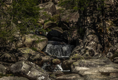 Stream flowing through rocks in forest