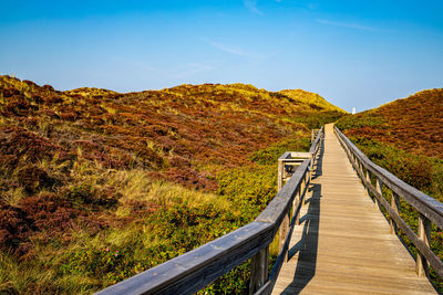 Footpath leading towards mountain against sky