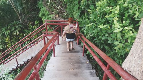 High angle view of woman moving down on steps by plants