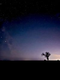 Low angle view of silhouette trees against sky at night