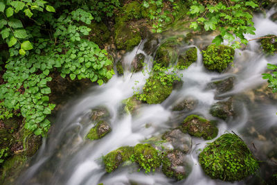 Scenic view of waterfall