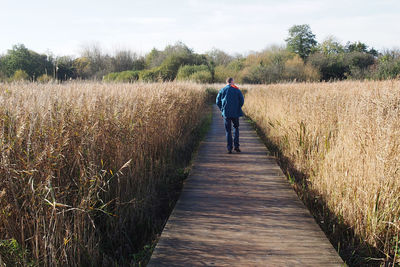 Rear view of man walking on boardwalk