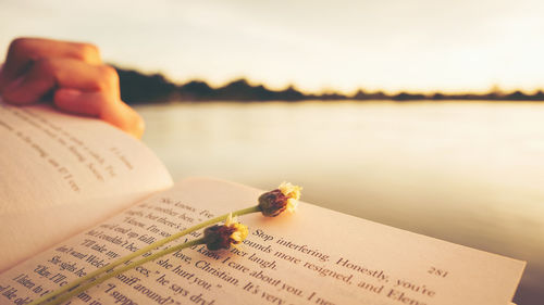 Young woman reading the book at riverside in the evening.