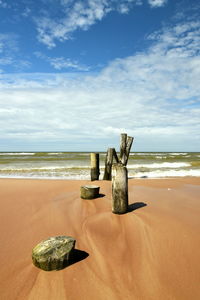 Beachfront wooden poles composition