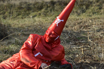 High angle view of person in costume relaxing on land