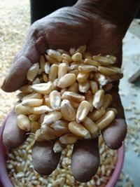 Close-up of food