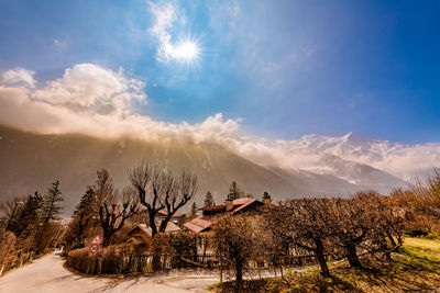 Panoramic shot of trees on field against sky during winter