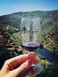 Close-up of cropped hand