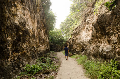 Rear view of man walking amidst mountains