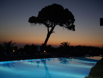 Silhouette trees by swimming pool against sky at night