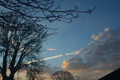 Low angle view of silhouette tree against sky