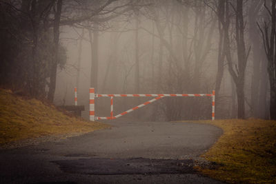 Road gate amidst trees in forest during foggy weather