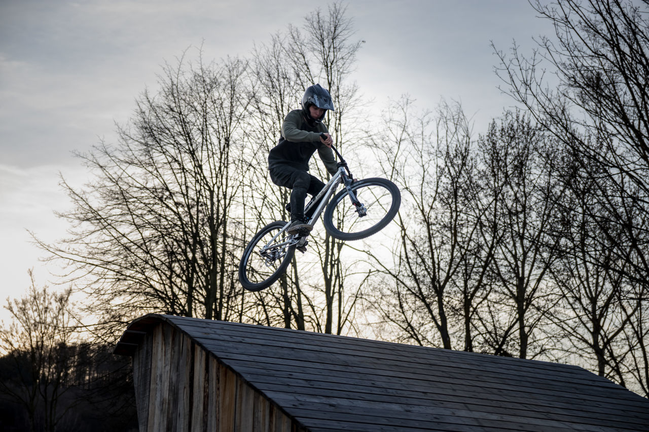 MAN RIDING BICYCLE ON BARE TREE