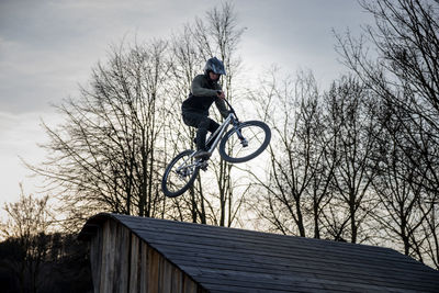 Low angle view of man riding bicycle on bare tree