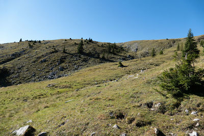 Scenic view of landscape against clear blue sky