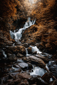 Scenic view of waterfall in forest