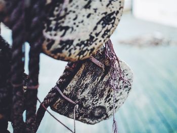 Close-up of abandoned fishing net corks