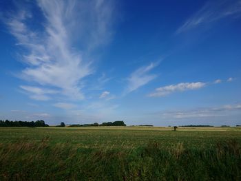 Scenic view of field against blue sky