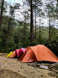 Tent in forest