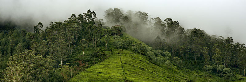 Scenic view of waterfall in forest against sky