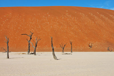 Scenic view of landscape