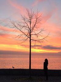 Silhouette bare tree by sea against sky during sunset