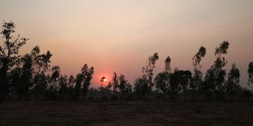 Silhouette trees on field against sky during sunset