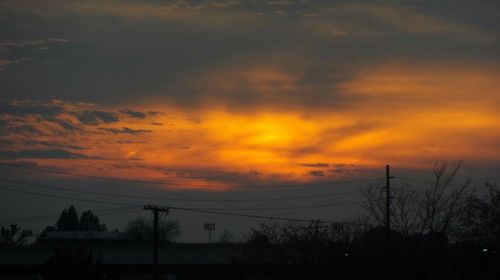 Silhouette of trees against dramatic sky