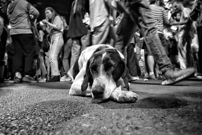 People walking on street