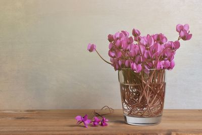 Close-up of pink flower vase on table against wall