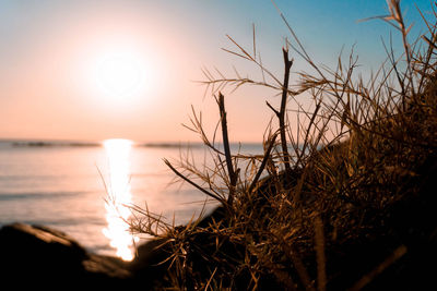 Scenic view of sea against sky at sunset