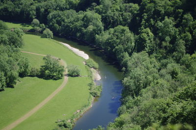 High angle view of stream amidst trees in forest