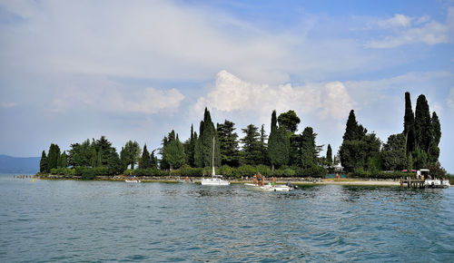 Panoramic view of trees by lake against sky