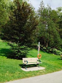 Empty swing against trees in park